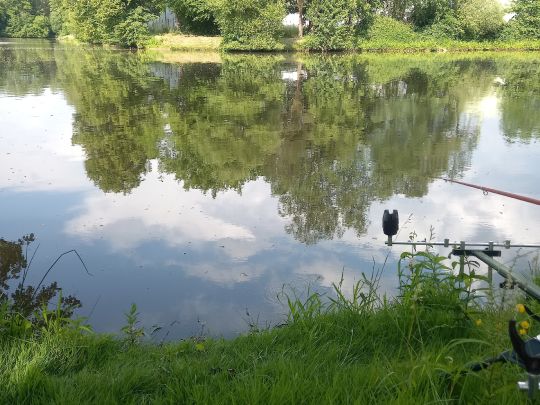 Weiher ASV Wellesweiler-2