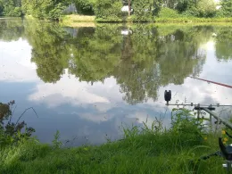 Weiher ASV Wellesweiler-2