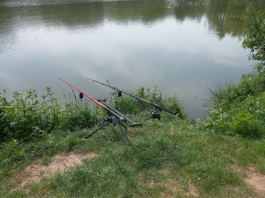 Weiher ASV Wellesweiler