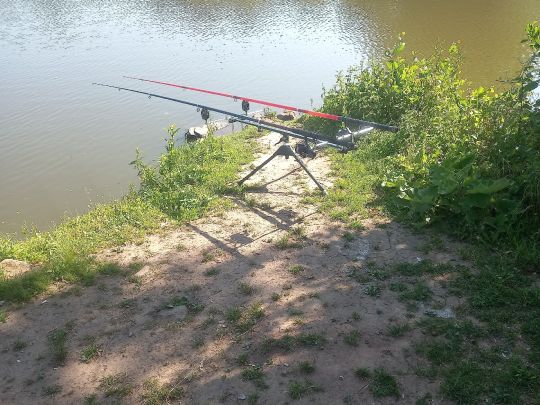 Weiher ASV Wellesweiler-3