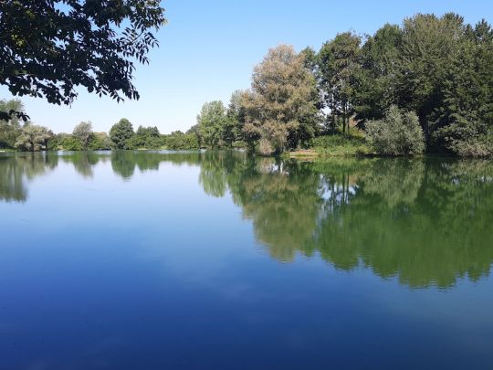 Rainer-Lauterbach-Weiher-2