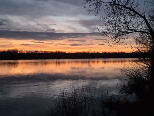 Kiessee ASG Edesheim-1