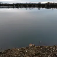 Kiessee ASG Edesheim-3