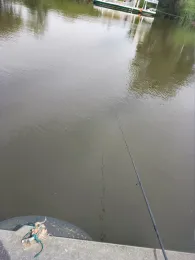 Mulde (Hohenprießnitz)