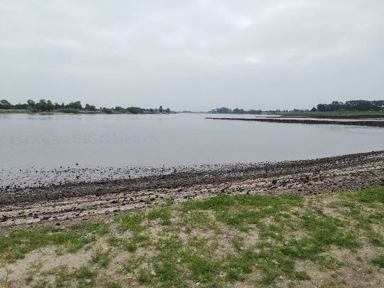 Elbe (Bullenhausen)-1