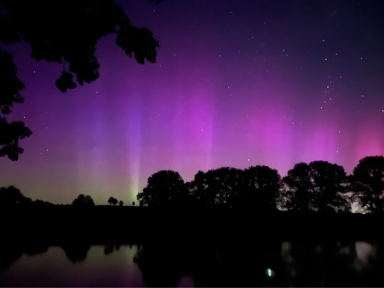 Papenteich (Emden)-1