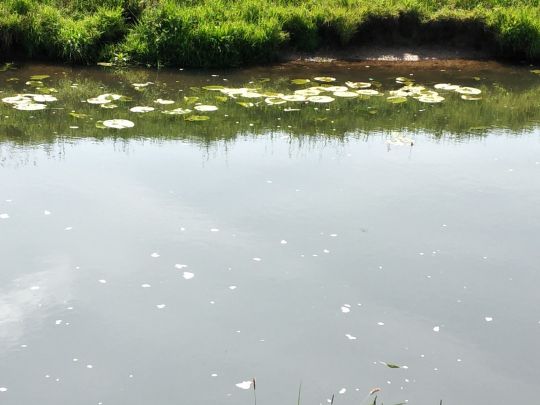 Hessel (Warendorf)-1