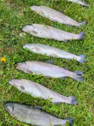 Binnenfischerei Weißenfels-1