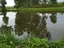 Binnenfischerei Weißenfels