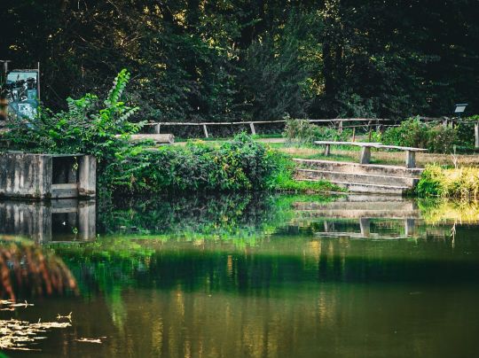 Angelteiche Boeker Mühle-2