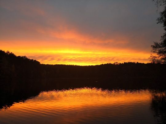 Schervenzsee
