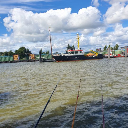 Elbe (Glückstadt)-1