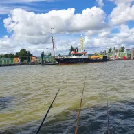 Elbe (Glückstadt)-1