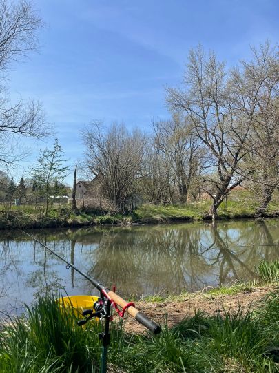 Mühlgraben (Holleben)-2