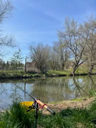 Mühlgraben (Holleben)-2