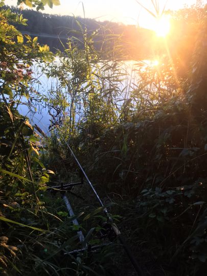 Dolgensee (Altfriedland)-1