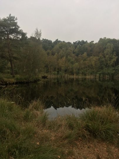 Duvennester Moor-2