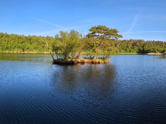 Duvennester Moor-1