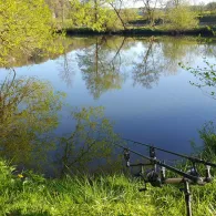 Naab (Etterzhausen)-1