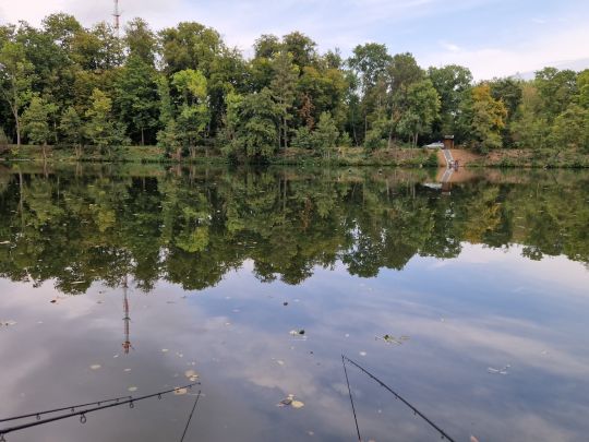 See am Forschungszentrum (Jülich)