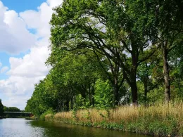 Ems (Hanekenfähr)-2