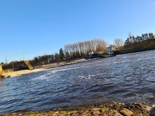 Ems (Hanekenfähr)-1