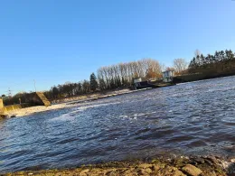 Ems (Hanekenfähr)-1