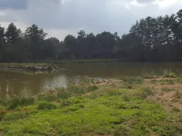 Holstenteich (Ankum)-4