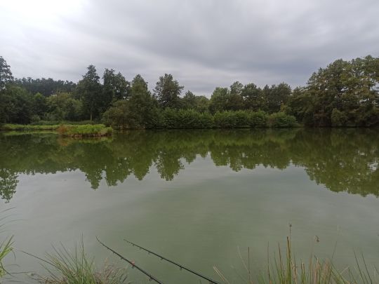 Holstenteich (Ankum)-2