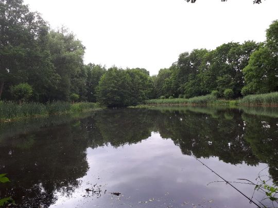 Brockenstedter Mühle-2