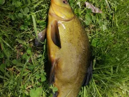 Brockenstedter Mühle-1