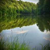 Kleiner Siebersteinsteich