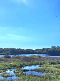 Nordholzer See-4