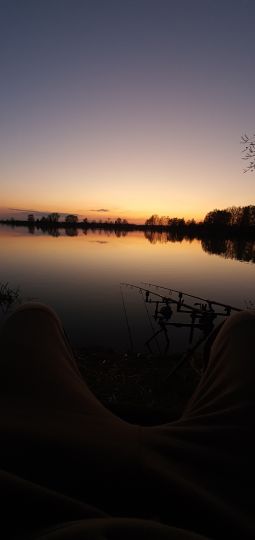 Vogelsee (Ersingen)-3