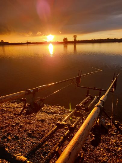 Vogelsee (Ersingen)-2