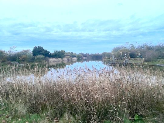 Bork Havn Put & Take-3