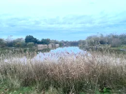 Bork Havn Put & Take-3