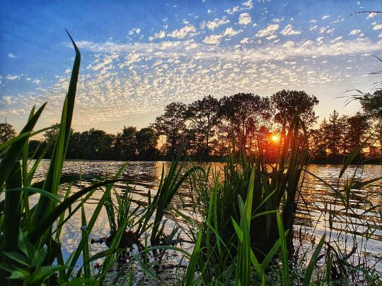 Alte Aller (Baden)-2