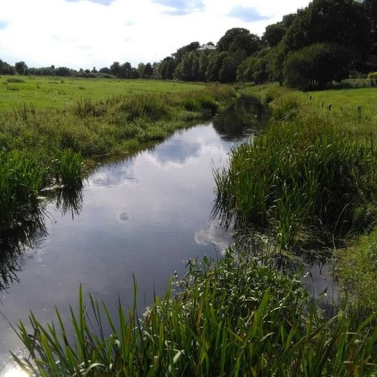 Alte Aller (Baden)-1