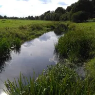 Alte Aller (Baden)-1