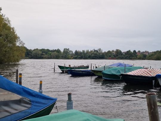 Tremser Teich (Lübeck) ALLE ANGELN