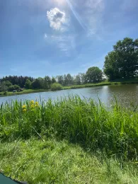 Waldsee Marschacht-2