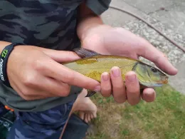 Waldsee Marschacht-1