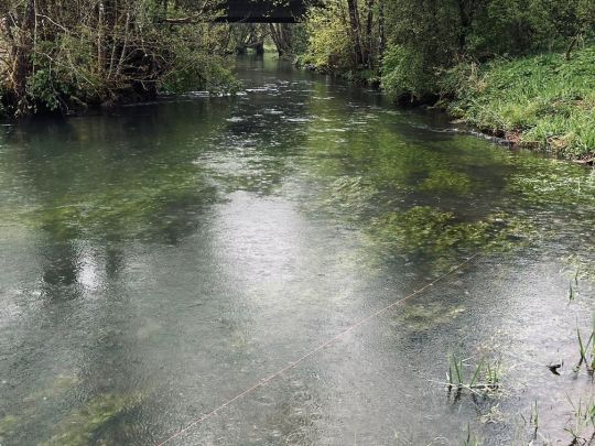 Schwarze Laber (Lupburg)-1