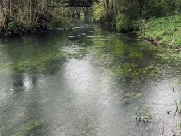 Schwarze Laber (Lupburg)-1