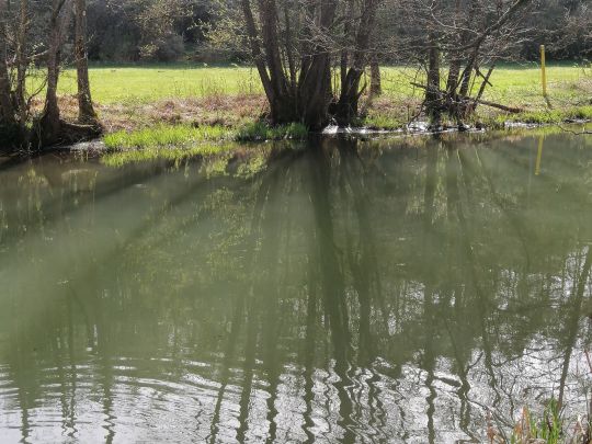 Schwarze Laber (Lupburg)-4