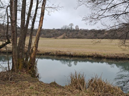 Schwarze Laber (Lupburg)-3