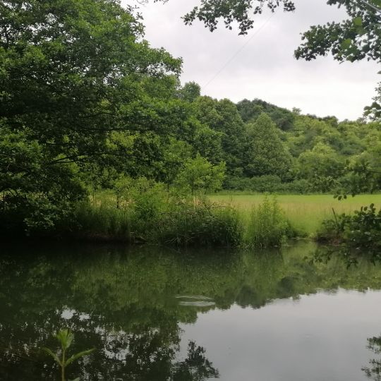 Schwarze Laber (Lupburg)-2