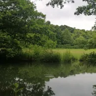 Schwarze Laber (Lupburg)-2