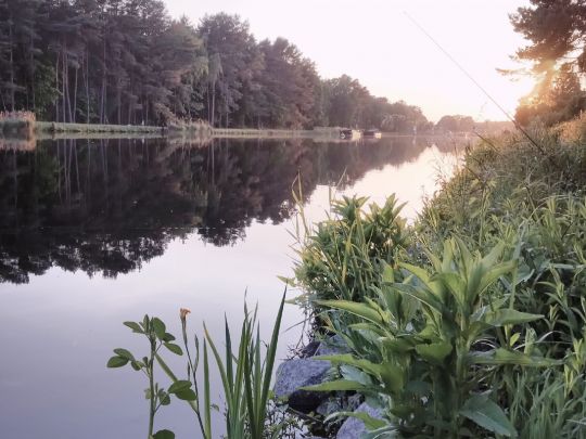 Oder-Spree-Kanal (Wernsdorf)-4